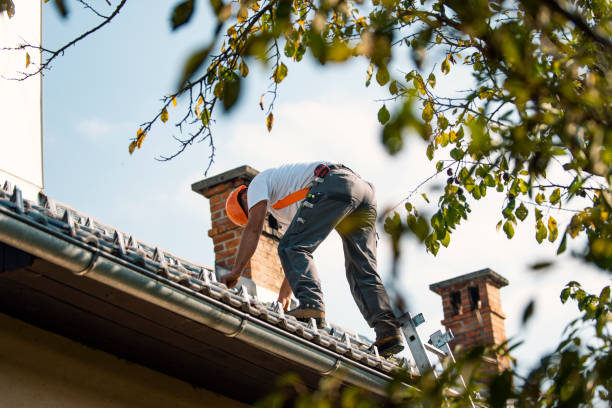 Professional Roofing Contractor in Holland, TX