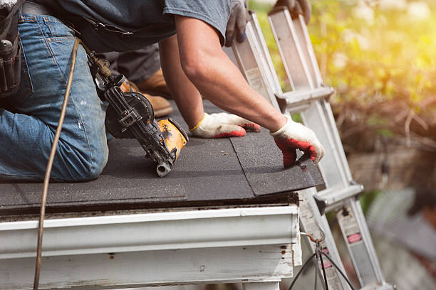 Best Roof Gutter Cleaning  in Holland, TX