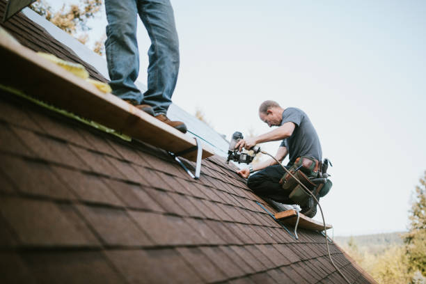 Professional Roofing Contractor in Holland, TX